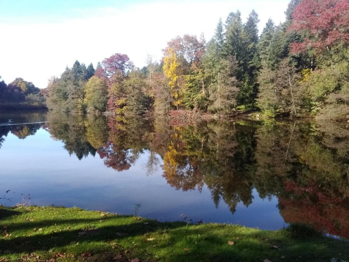 Gite De L'Arboretum Dompierre-les-Ormes 외부 사진